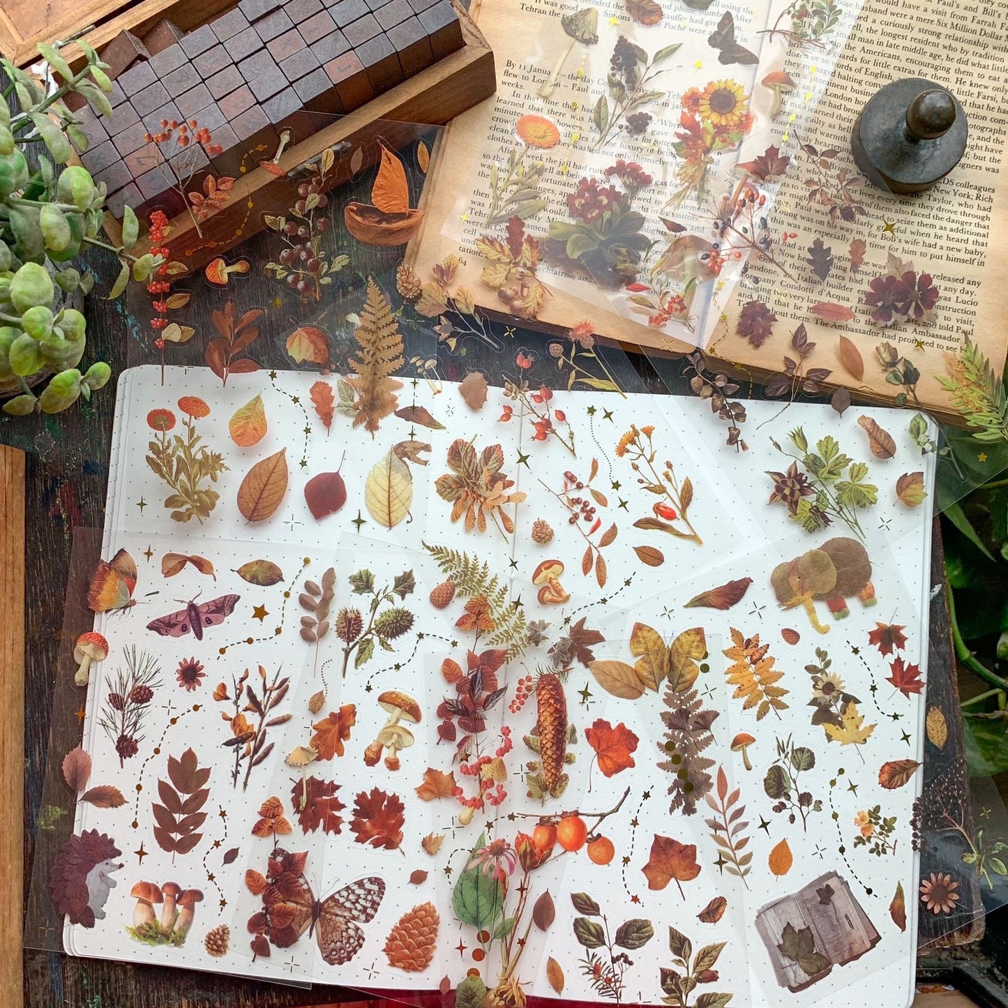 Autumn Series Sticker Pack - 8 Sheets in 1 Pack